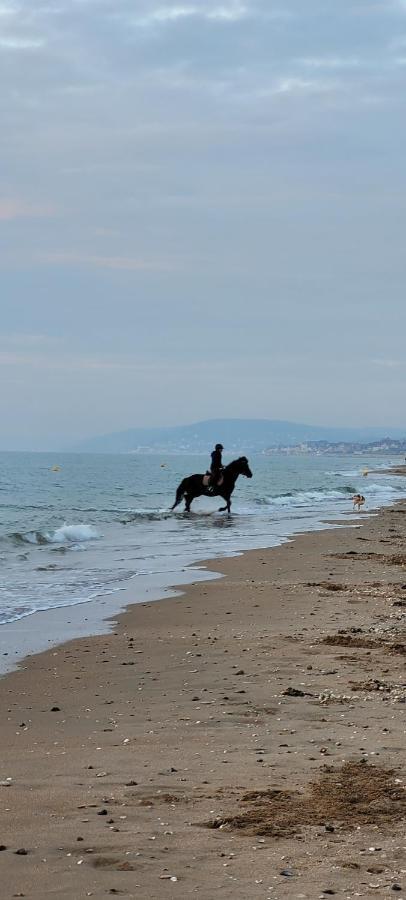 Villers Plage 1 Exteriér fotografie